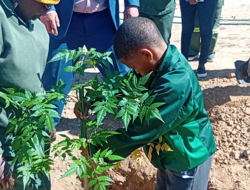 Mariental schools plant trees as tribute to Nujoma