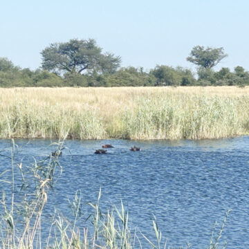 Mashi Mashi Traditional Authority pushes wildlife conflict reforms