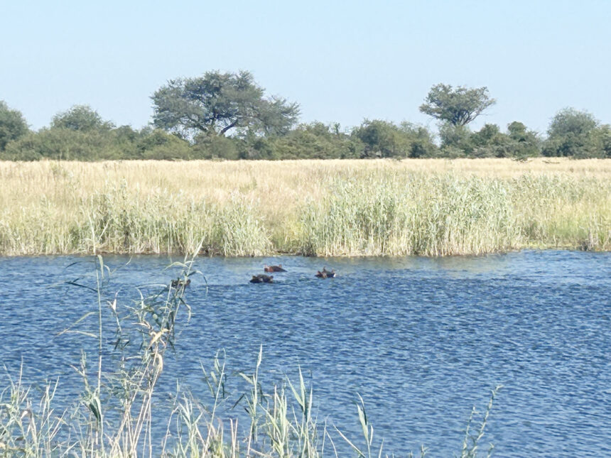 Mashi Traditional Authority pushes wildlife conflict reforms 