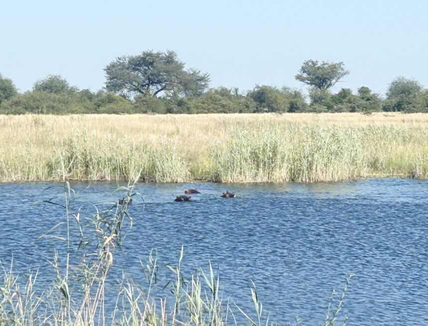 Mashi Traditional Authority pushes wildlife conflict reforms 