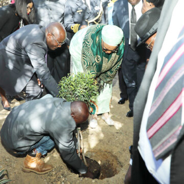 May NNN hints at tree-planting May