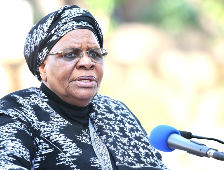 NNN pleads for patience on Genocide talks  …defends proclamation of 28 May 