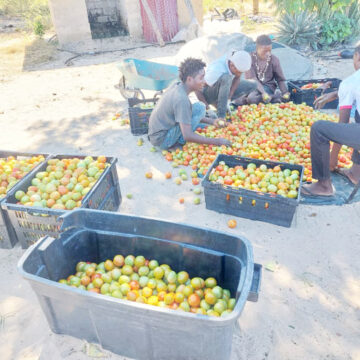 Ounamapya otau ende nawa mOkongo