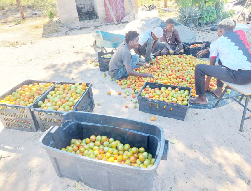 Ounamapya otau ende nawa mOkongo