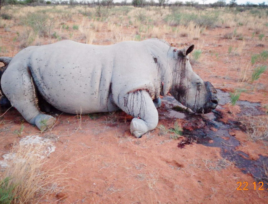 Govt intensifies anti-poaching fight 
