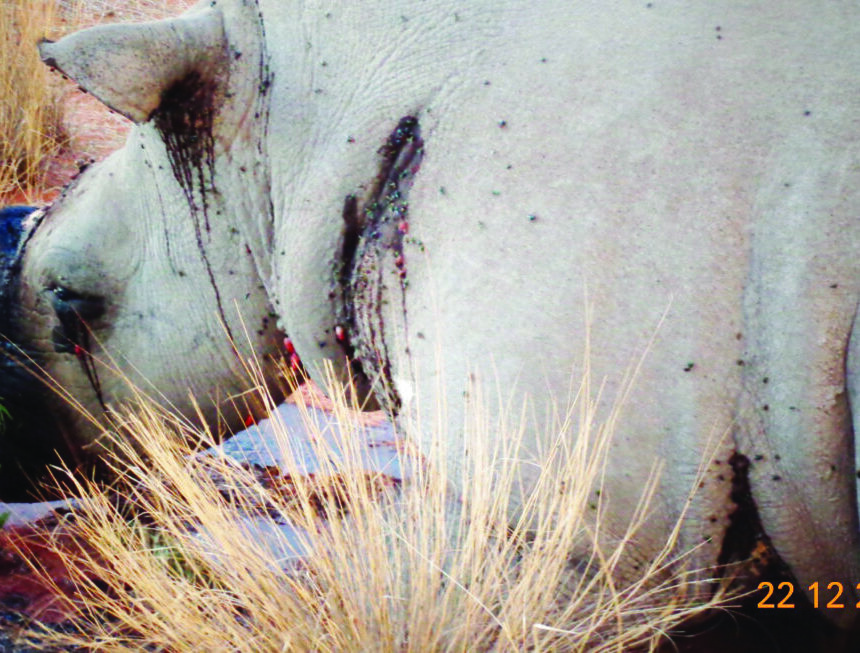 Uulunga woompanda washonopala