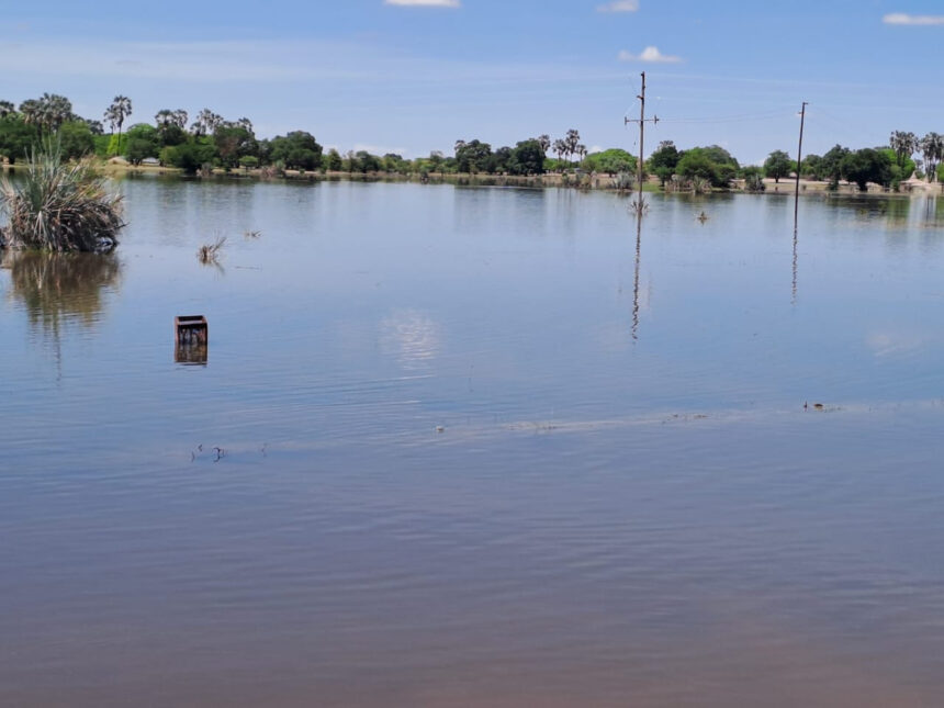 Rainwater-- Farmers: Harvesting rainwater must be prioritised