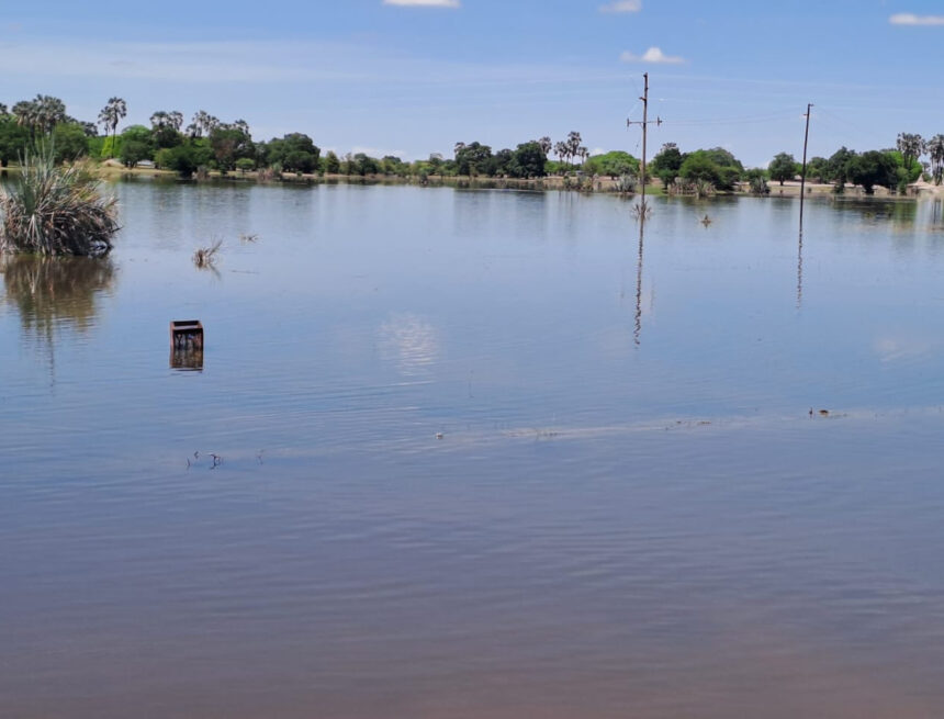 Farmers: Harvesting rainwater must be prioritised