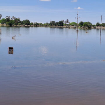 Omeya gomvula otaga hepa unene – aanafaalama 