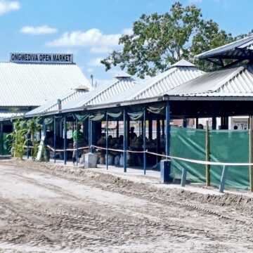 Omatala aNgwediva otaa ka wedelwa 