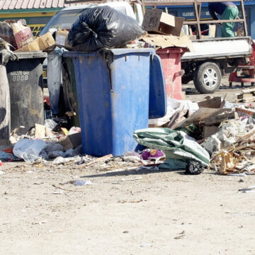 Walvis Failure or sabotage: Walvis at sixes and sevens