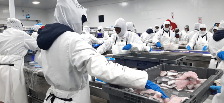 Fishing industry reels under water crisis