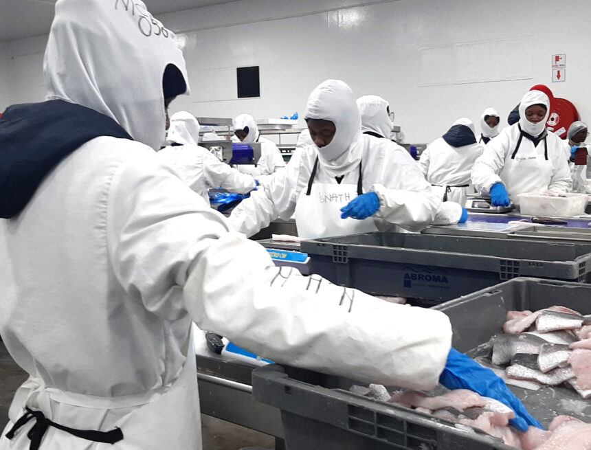 Fishing industry reels under water crisis