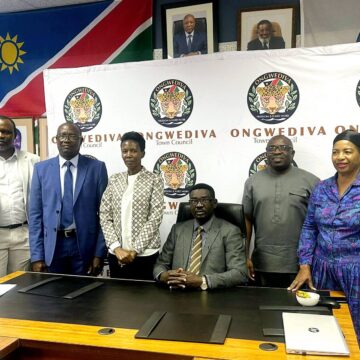 Oomilliona N$7.3 dhomahala gomainyanyundho mOngwediva