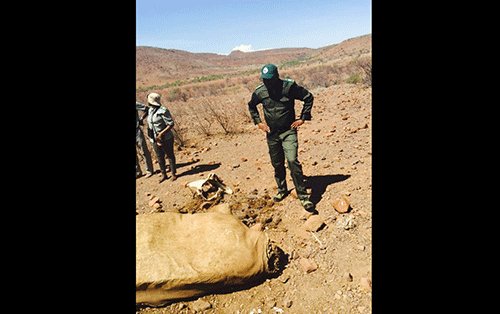 Communities Communities receive N$9m for livestock, crop damage
