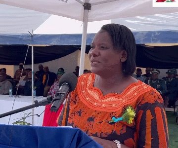 Mendai: Community efforts needed to fight malaria 