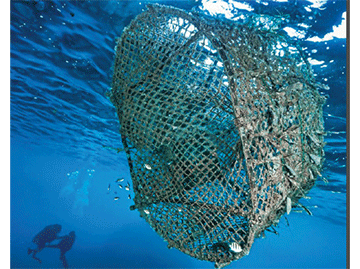 Ghost nets and marine pollution: Namibia’s silent ocean crisis