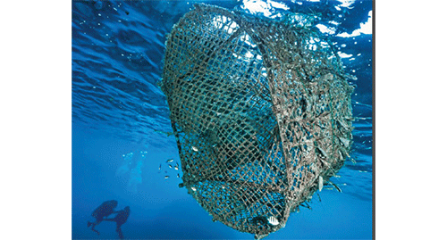 Ghost nets and marine pollution: Namibia’s silent ocean crisis