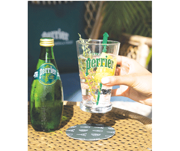 French state covered up Nestle scandal – Senate