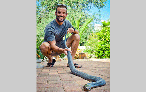 Snake-1 Don’t kill snakes -Conservationists