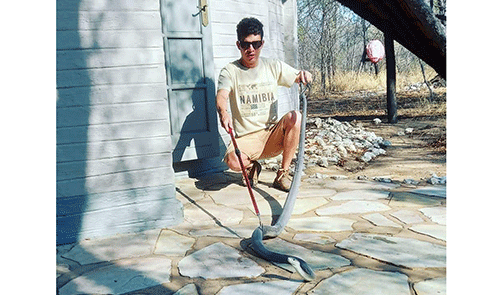 Namibia secures sufficient snake antivenom amid regional shortages