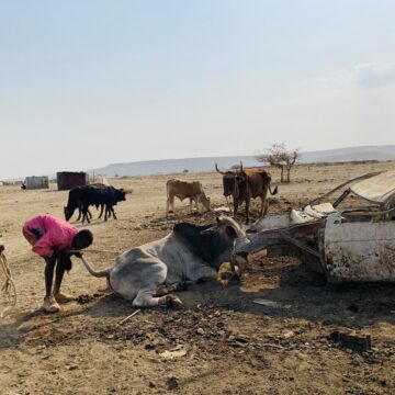 Ameneni oimuna koutalala – Dr Kefas 