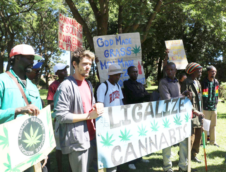 Cannabis ‘Reform archaic dagga laws’ …as push for legalisation continues