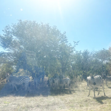 Officials warn against illegal border crossing 