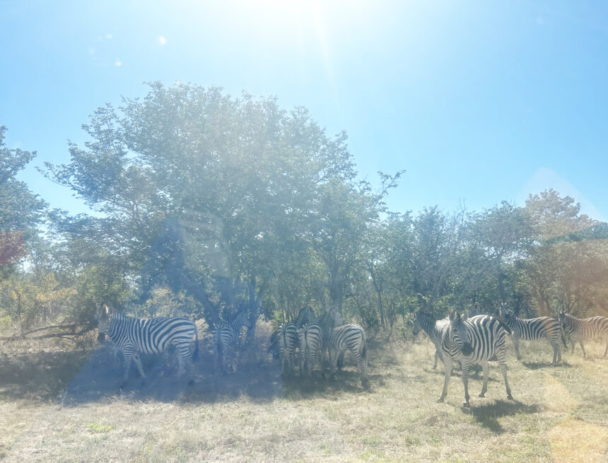 Officials warn against illegal border crossing 