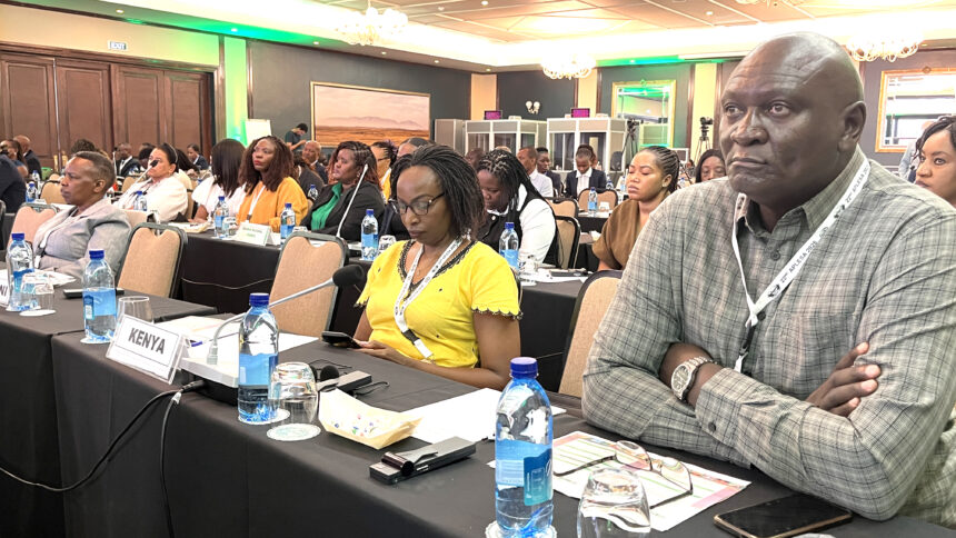 Digital transformation pic African parliaments urged to embrace digital shift