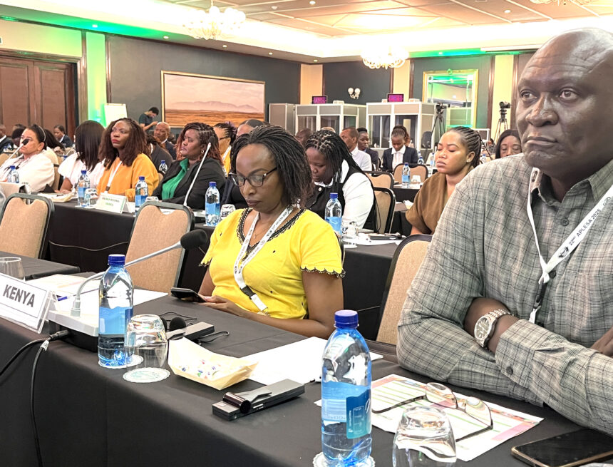 African parliaments urged to embrace digital shift