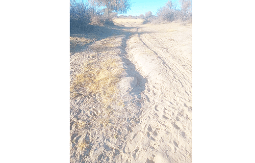 Epukiro1 Epukiro sand roads torment users