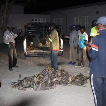 Fish Va indilwa vaha lye eeshi domohanya