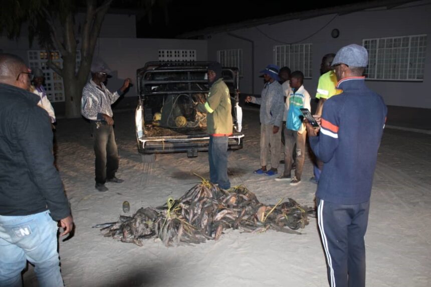 Fish Va indilwa vaha lye eeshi domohanya