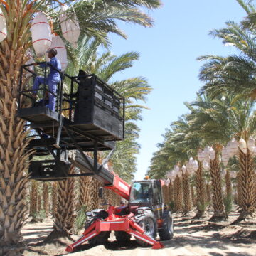 Govt Projects Neglected govt projects drain millions