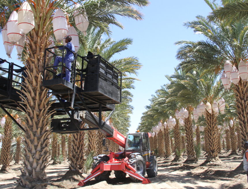 Govt Projects Neglected govt projects drain millions