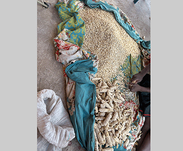 Kabbe records improved harvest 