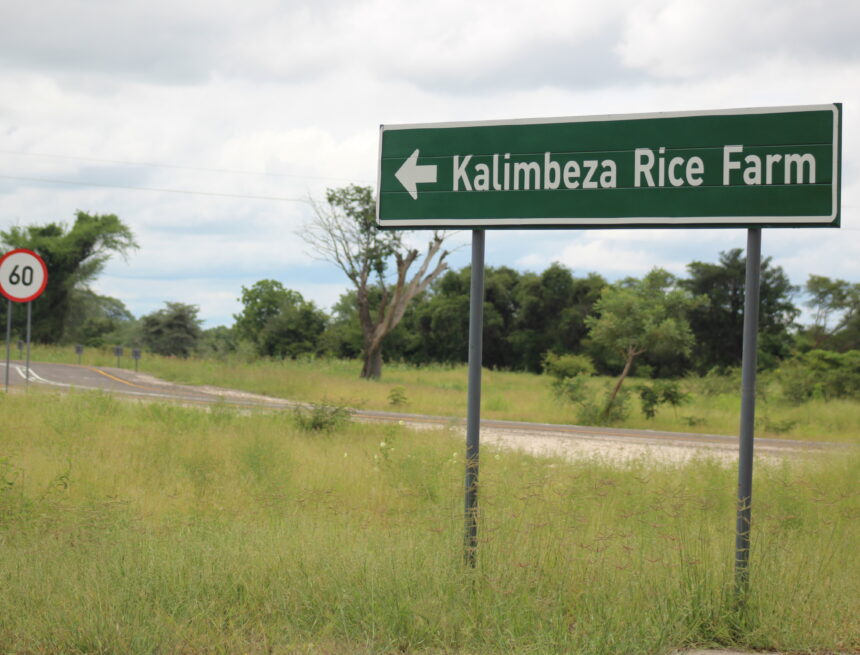 Kalimbeza eyes revival amid persistent challenges 