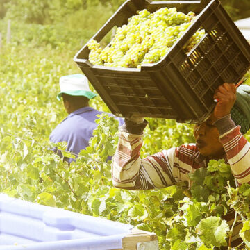 //Kharas farmers push for Neckartal green scheme