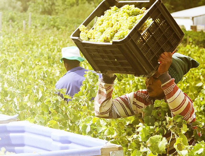 Kharas //Kharas farmers push for Neckartal green scheme