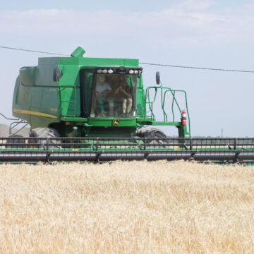 Combine harvester eats into Shadikongoro’s maize
