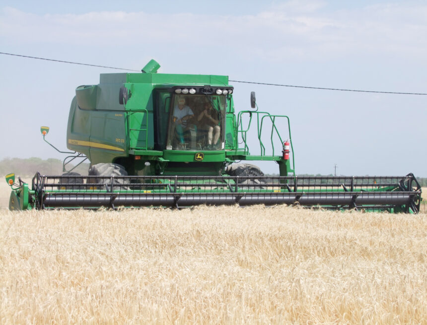 Combine harvester eats into Shadikongoro’s maize