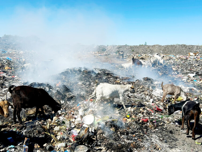 Okahao dumpsite a health hazard