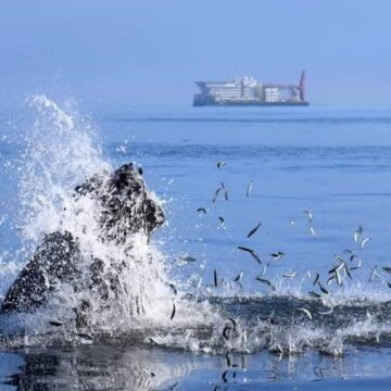 Fishing sector on tenterhooks 