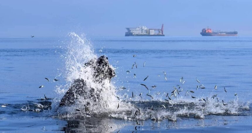 Fishing sector on tenterhooks 