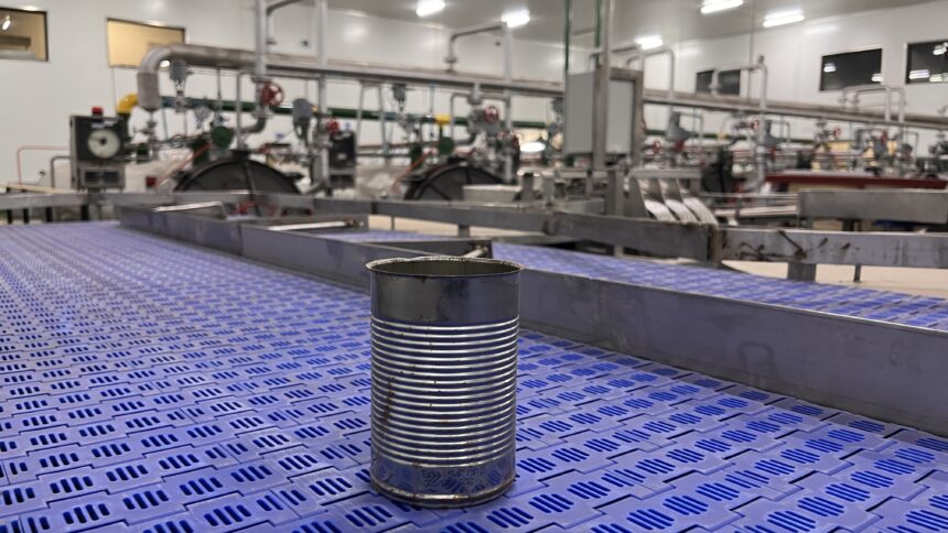 Fishing industry fumes over illegal pilchard catch