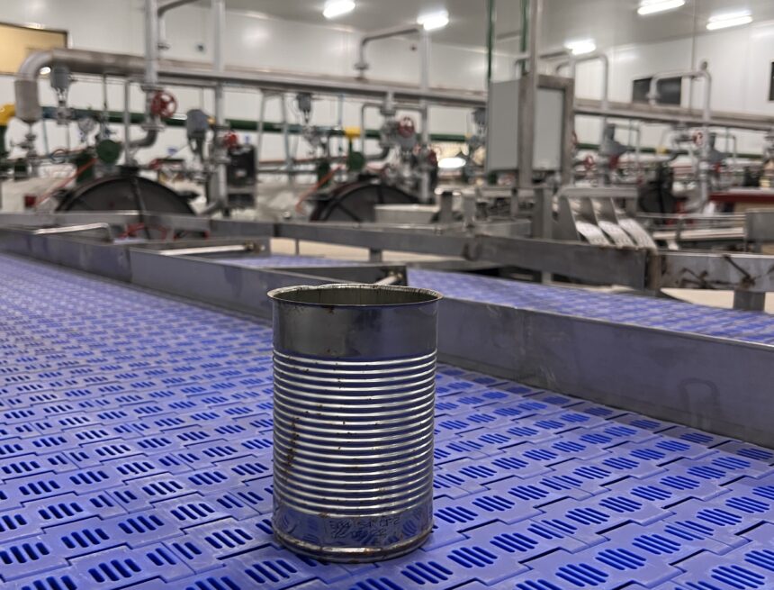 Pilchards3 Fishing industry fumes over illegal pilchard catch