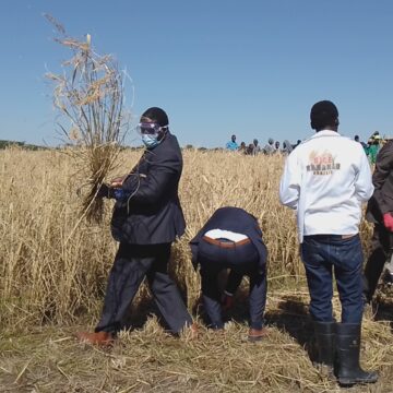 Eteyo lolwishi neudo otali hafifa 