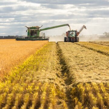 Namibia to strategically pursue rice production …N$314.1m imports in two years