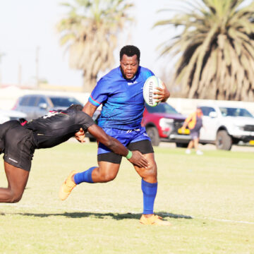 Welwitschias set for tough test against Pumas 